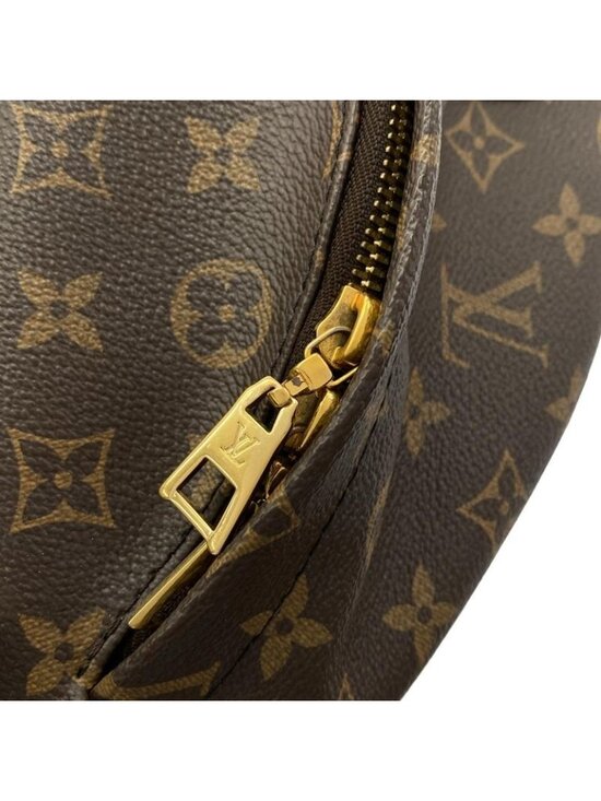 Louis Vuitton Monogram Palm Spring Backpack PM Sac main image 9
